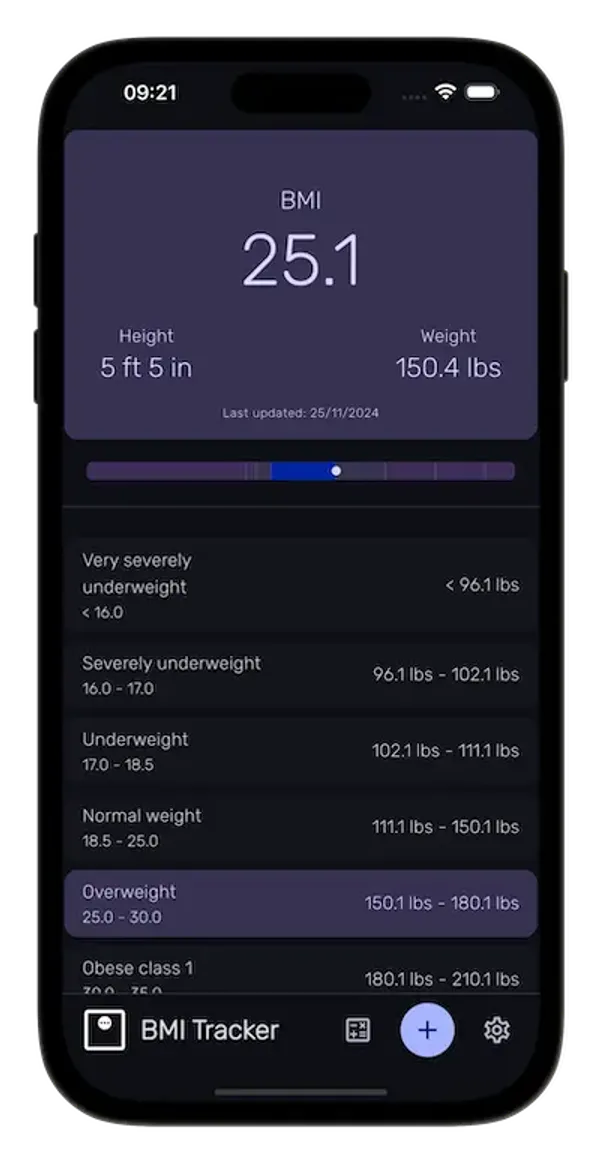 BMI Tracker Application Screenshot